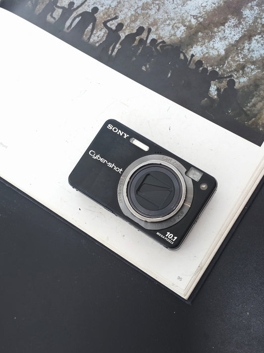 Used Sony Cyber-shot DSC-W170 black Digital Camera [JPN only]