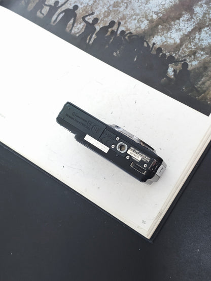 Used Sony Cyber-shot DSC-W170 black Digital Camera [JPN only]
