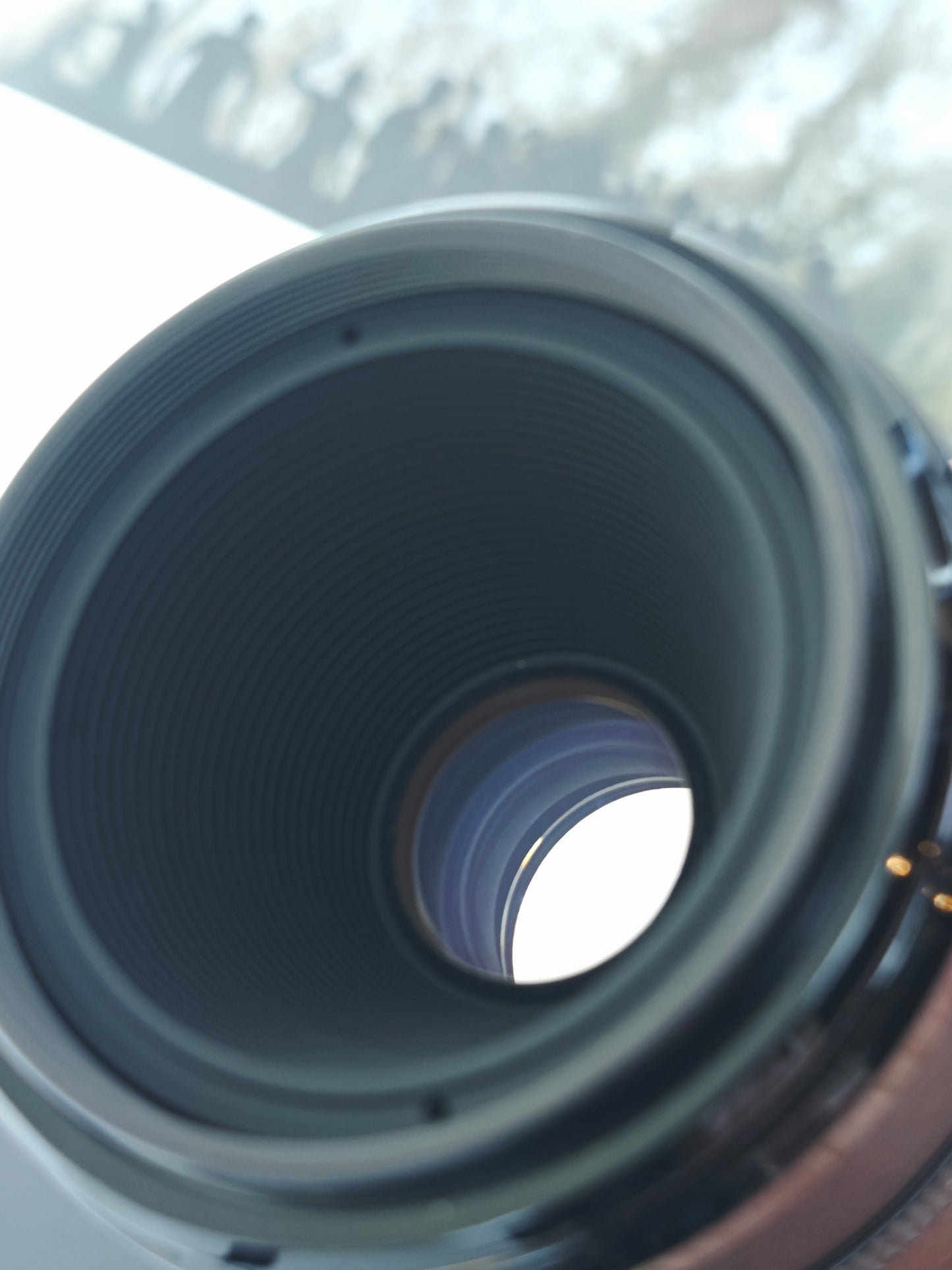 Canon Compact-Macro Lens EF 50m F2.5