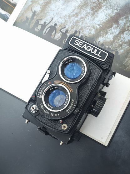 Seagull 4B-1