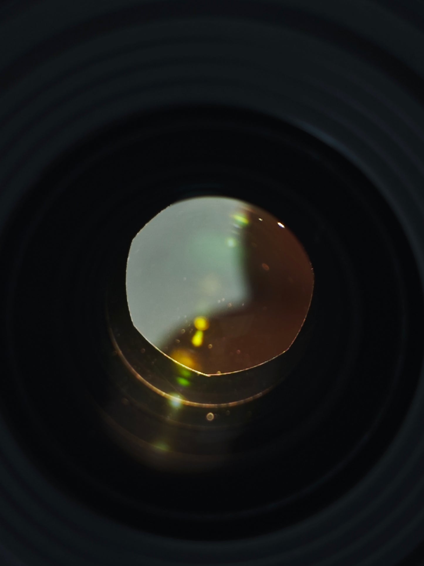 Nikon Nikkor Z DX 24mm F1.7