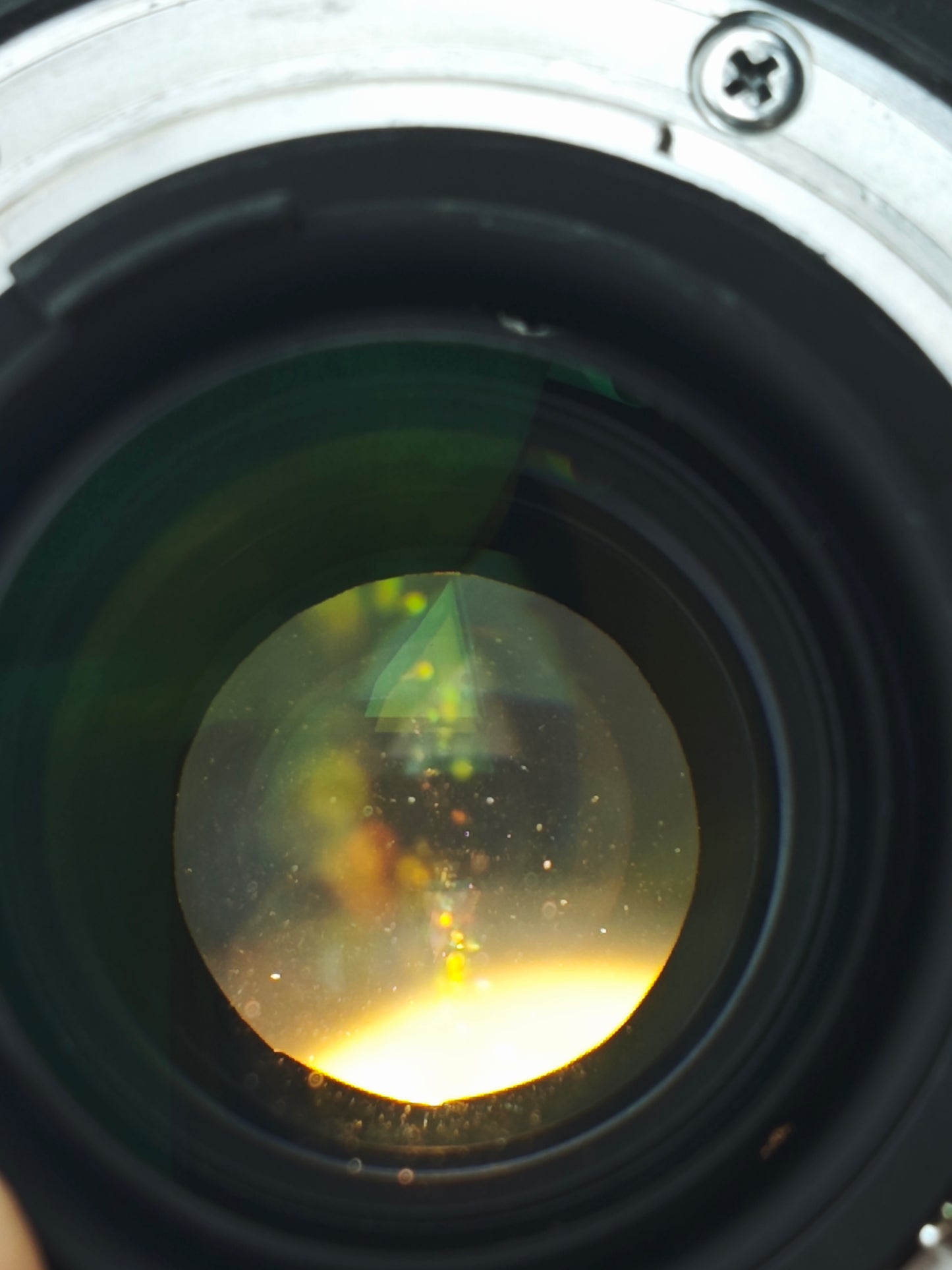 Nikon AF-S Nikkor 24-120mm F4 G ED N #62039227