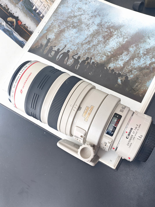 Canon Zoom Lens EF 100-400mm F4.5-5.6 L IS [+Canon Extender EF-1.4X II] #208902