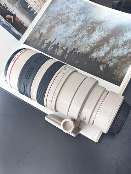 Canon Zoom Lens EF 100-400mm F4.5-5.6 L IS [+Canon Extender EF-1.4X II] #208902