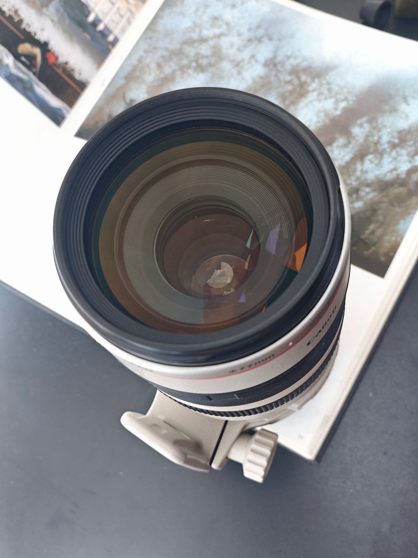 Canon Zoom Lens EF 100-400mm F4.5-5.6 L IS [+Canon Extender EF-1.4X II] #208902