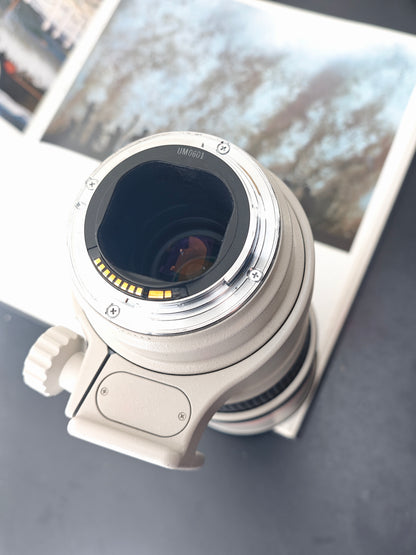 *READ* Canon Lens EF 300mm F4 L IS USM
