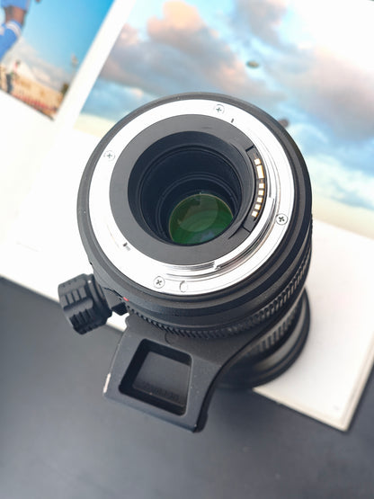 Tamron SP AF Di (IF) 200-500mm F5-6.3 [EF mount]