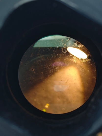 *READ* Canon Lens EF 400mm F2.8 L II USM [+Extender EF 2X]