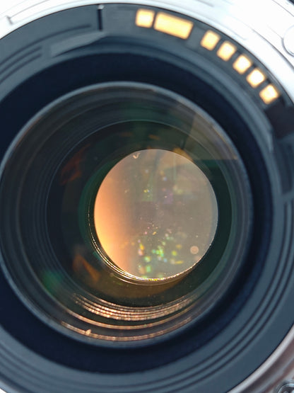 Canon Zoom Lens EF 70-300mm F4-5.6 L IS USM