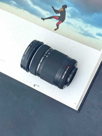 Used Olympus OM-D E-M10 with Double Zoom kit [No charger]