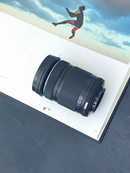 Used Olympus OM-D E-M10 with Double Zoom kit [No charger]