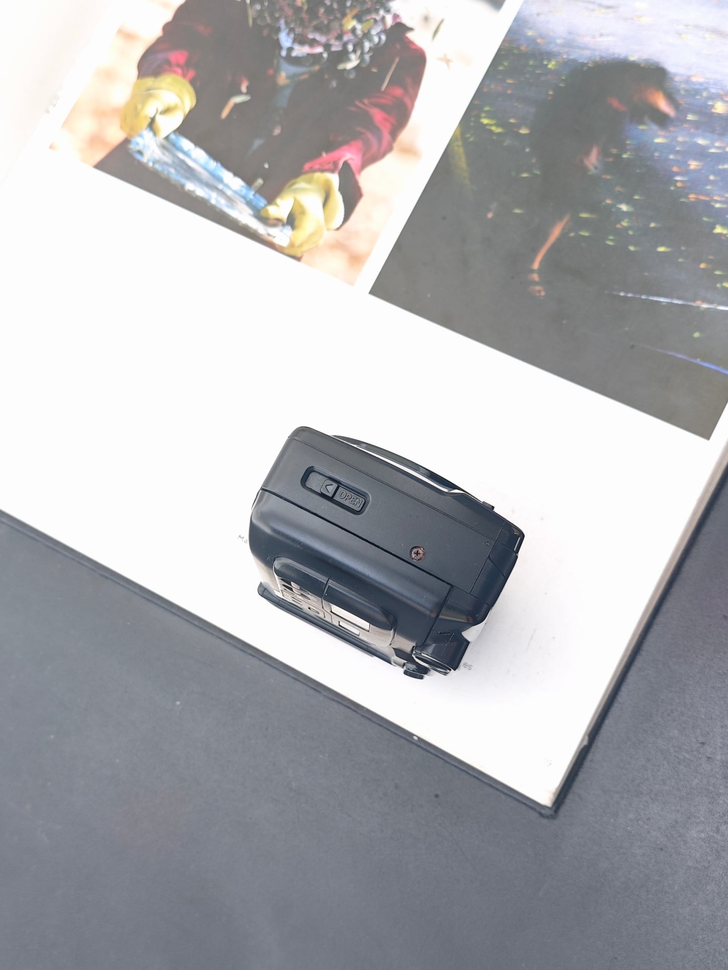 Canon Autoboy Luna 35 Panorama Ai AF