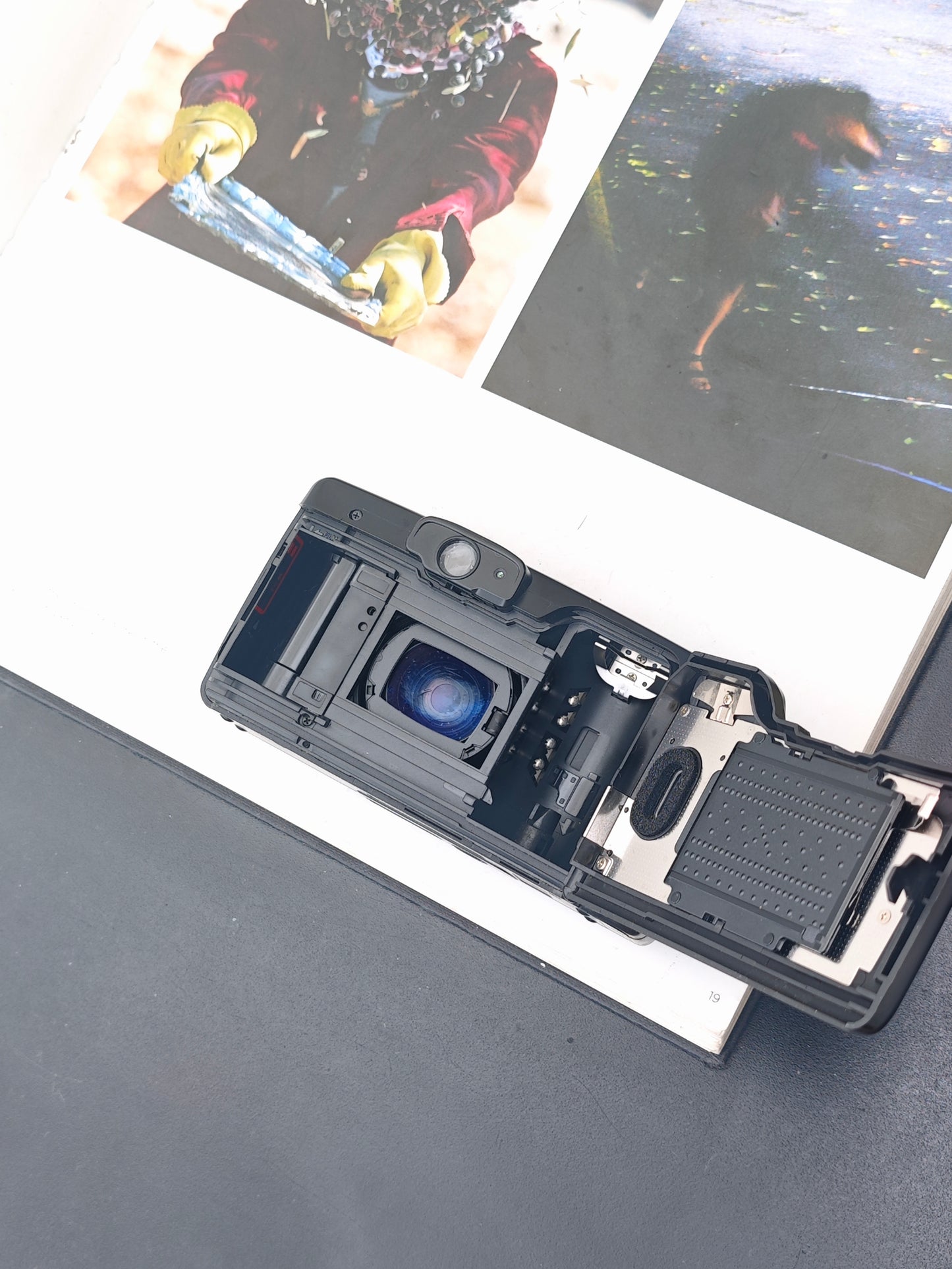 Canon Autoboy Luna 35 Panorama Ai AF