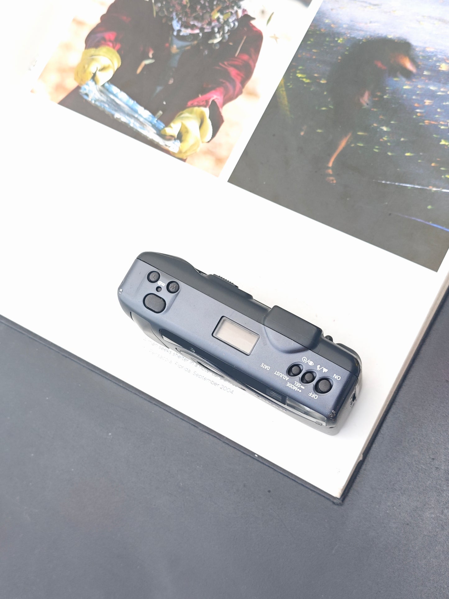 Nikon Zoom 310AF #4206527