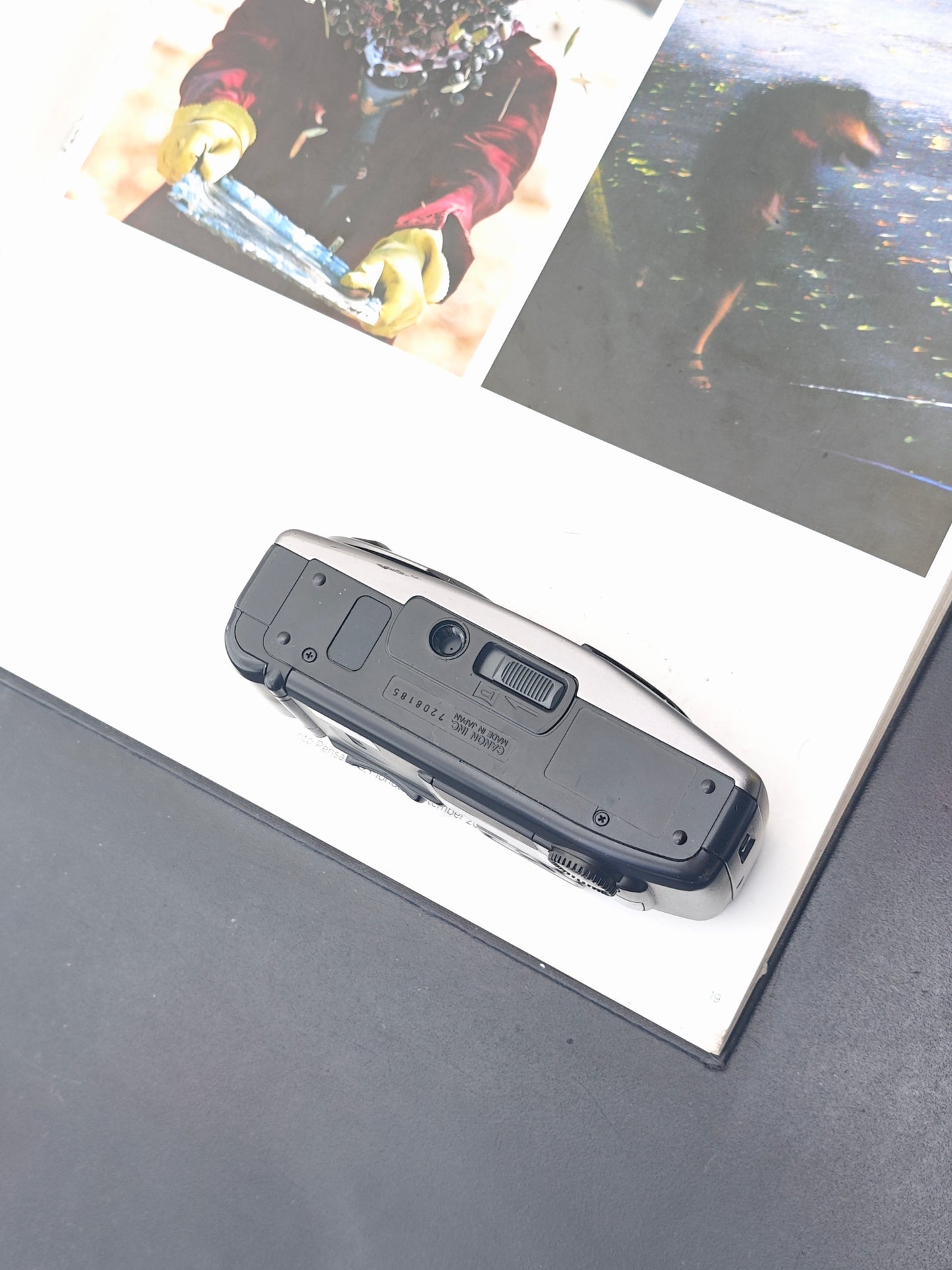 Canon Autoboy Luna XL Panorama Ai AF