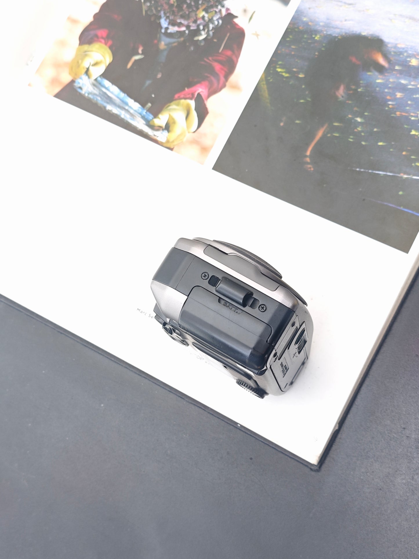 Canon Autoboy Luna XL Panorama Ai AF