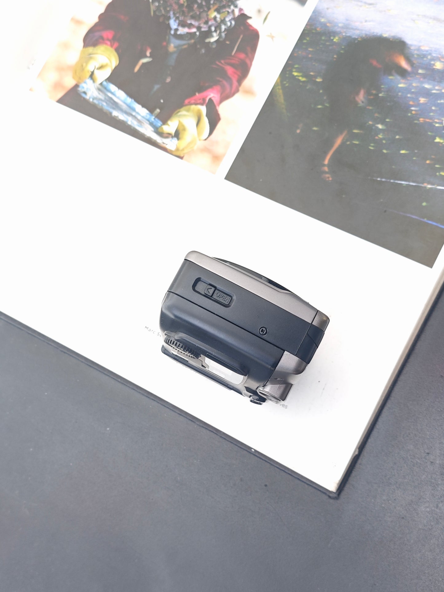 Canon Autoboy Luna XL Panorama Ai AF