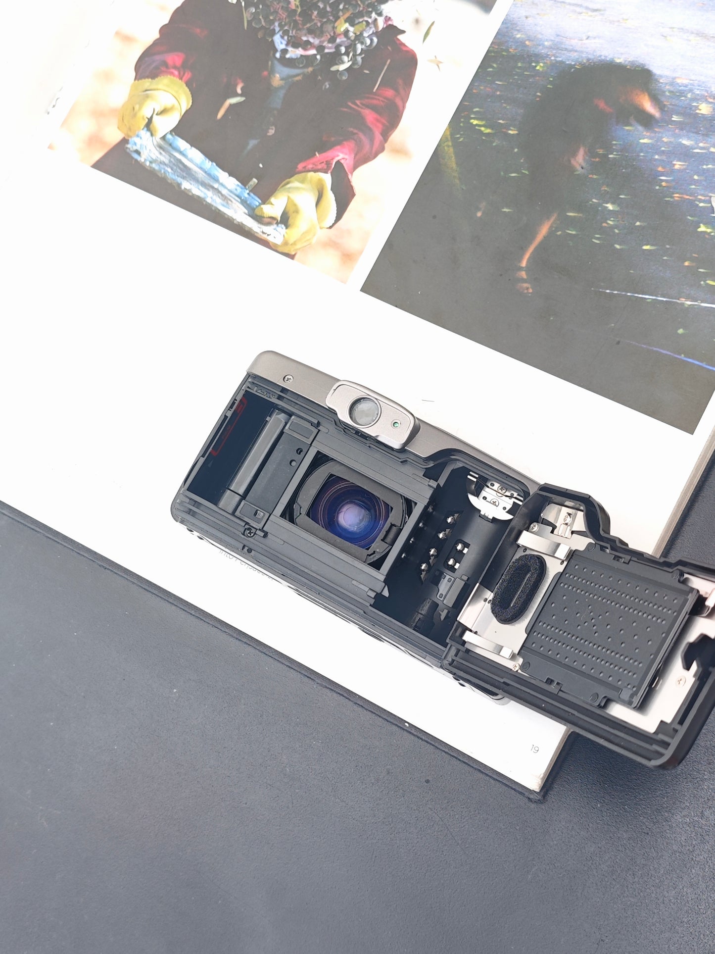 Canon Autoboy Luna XL Panorama Ai AF