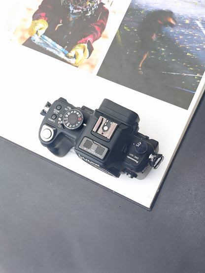 Used Panasonic Lumix GH-1 body Digital Camera [JPN only]