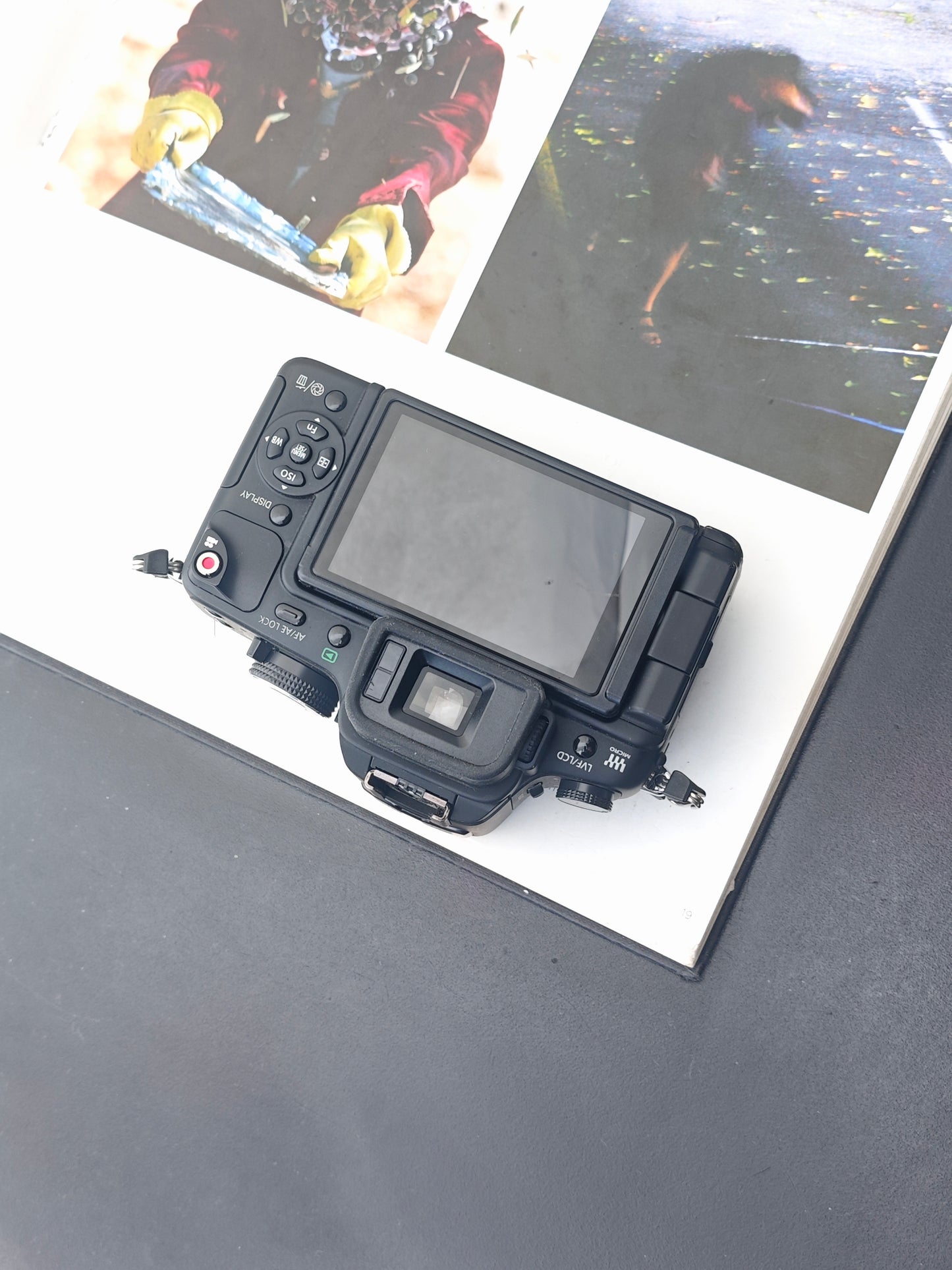 Used Panasonic Lumix GH-1 body Digital Camera [JPN only]