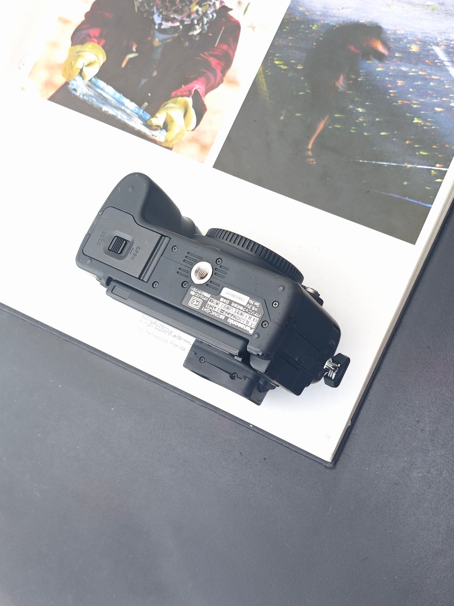 Used Panasonic Lumix GH-1 body Digital Camera [JPN only]