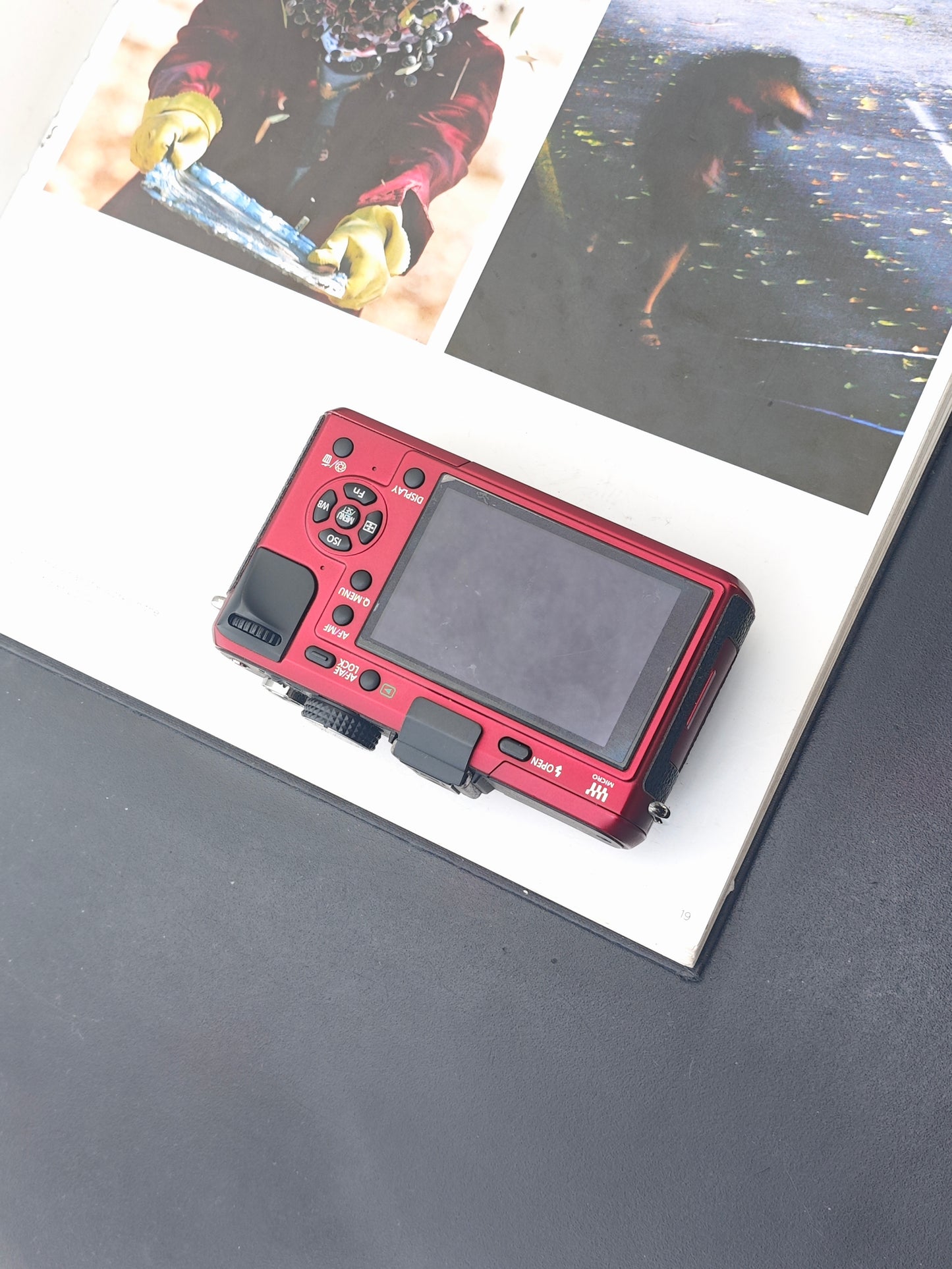 Used Panasonic Lumix GF-1 red body Digital Camera [JPN only, No charger]