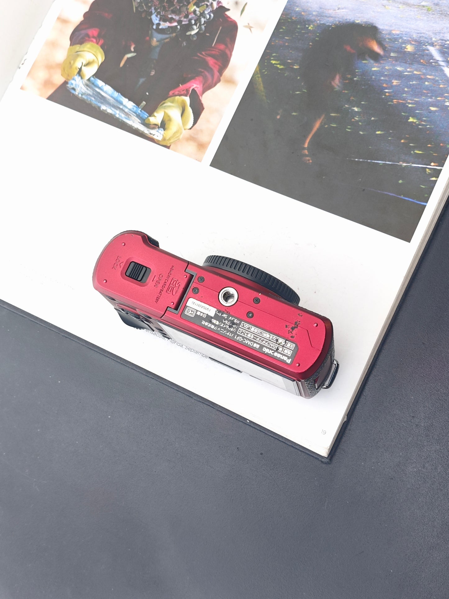 Used Panasonic Lumix GF-1 red body Digital Camera [JPN only, No charger]