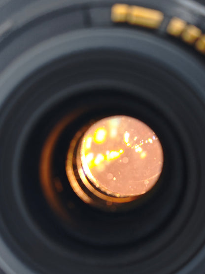 Canon Zoom Lens EF-S 55-250mm F4-5.6 IS STM #52445215