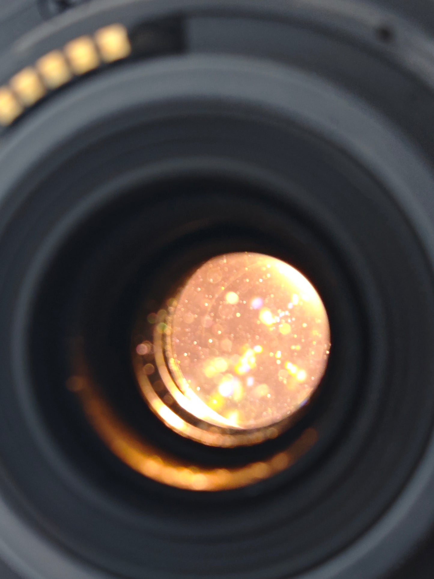 Canon Zoom Lens EF-S 55-250mm F4-5.6 IS STM #40013843