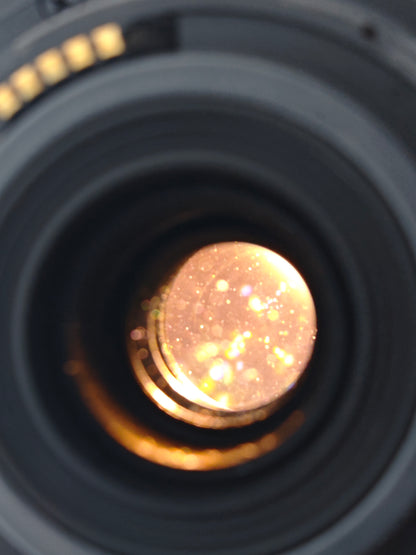 Canon Zoom Lens EF-S 55-250mm F4-5.6 IS STM #40013843