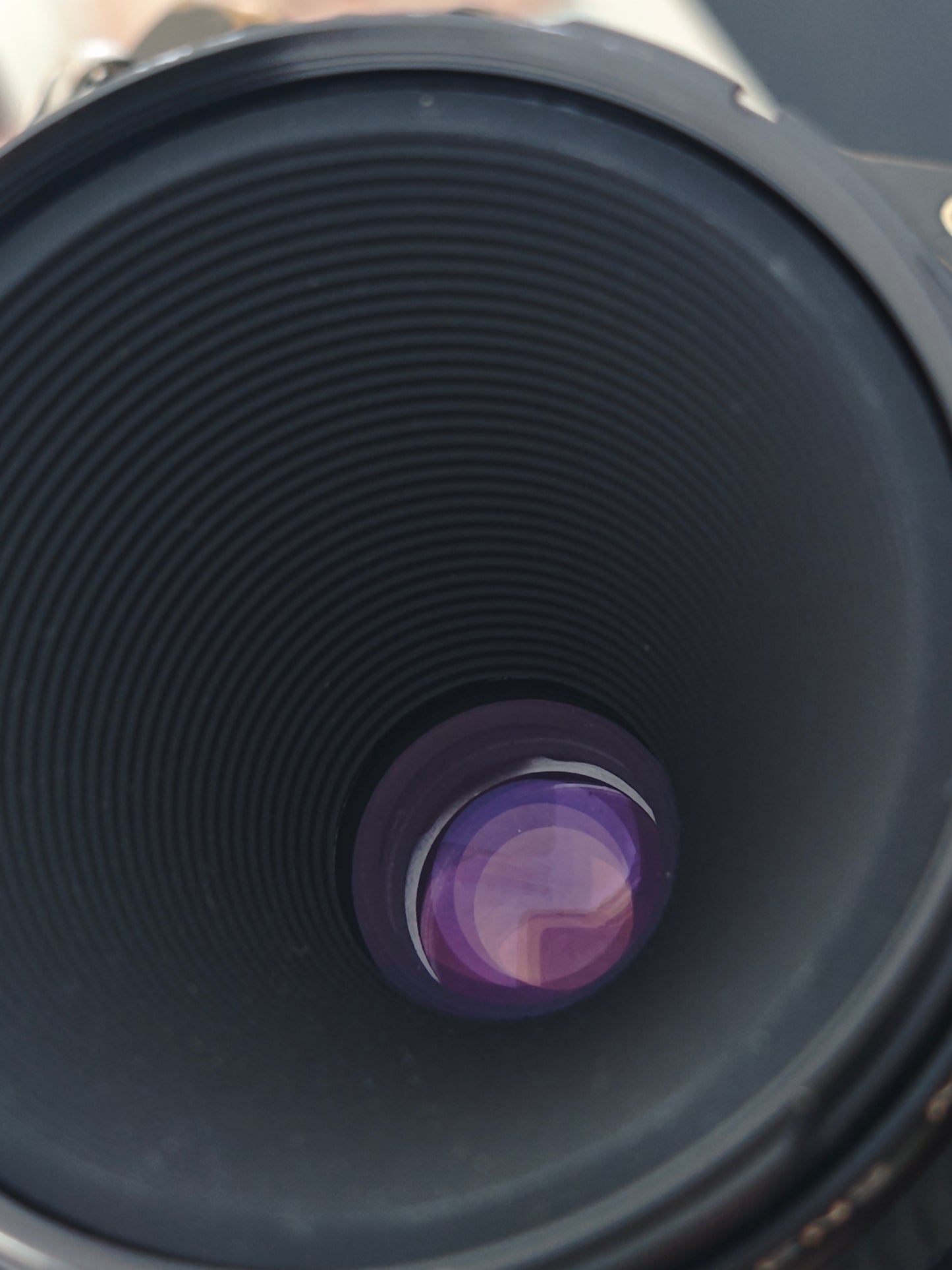 Canon F-1 with Canon Marco Lens FD 50mm F3.5