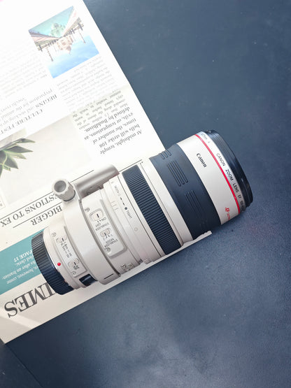 Canon Zoom Lens EF 100-400mm F4.5-5.6 L IS #417756