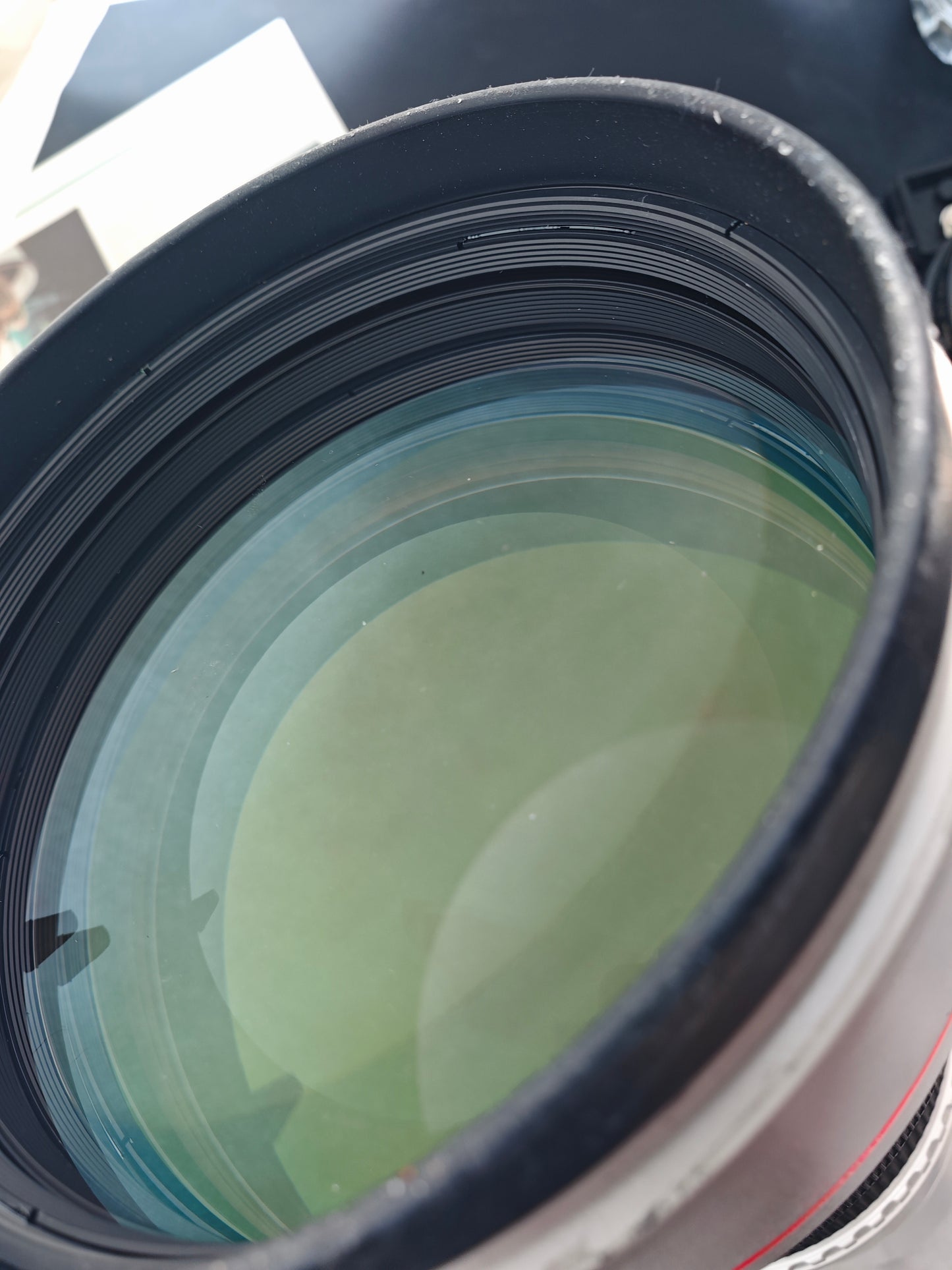 Canon EF 600mm F4 L Ultrasonic [+Hood ET-161]