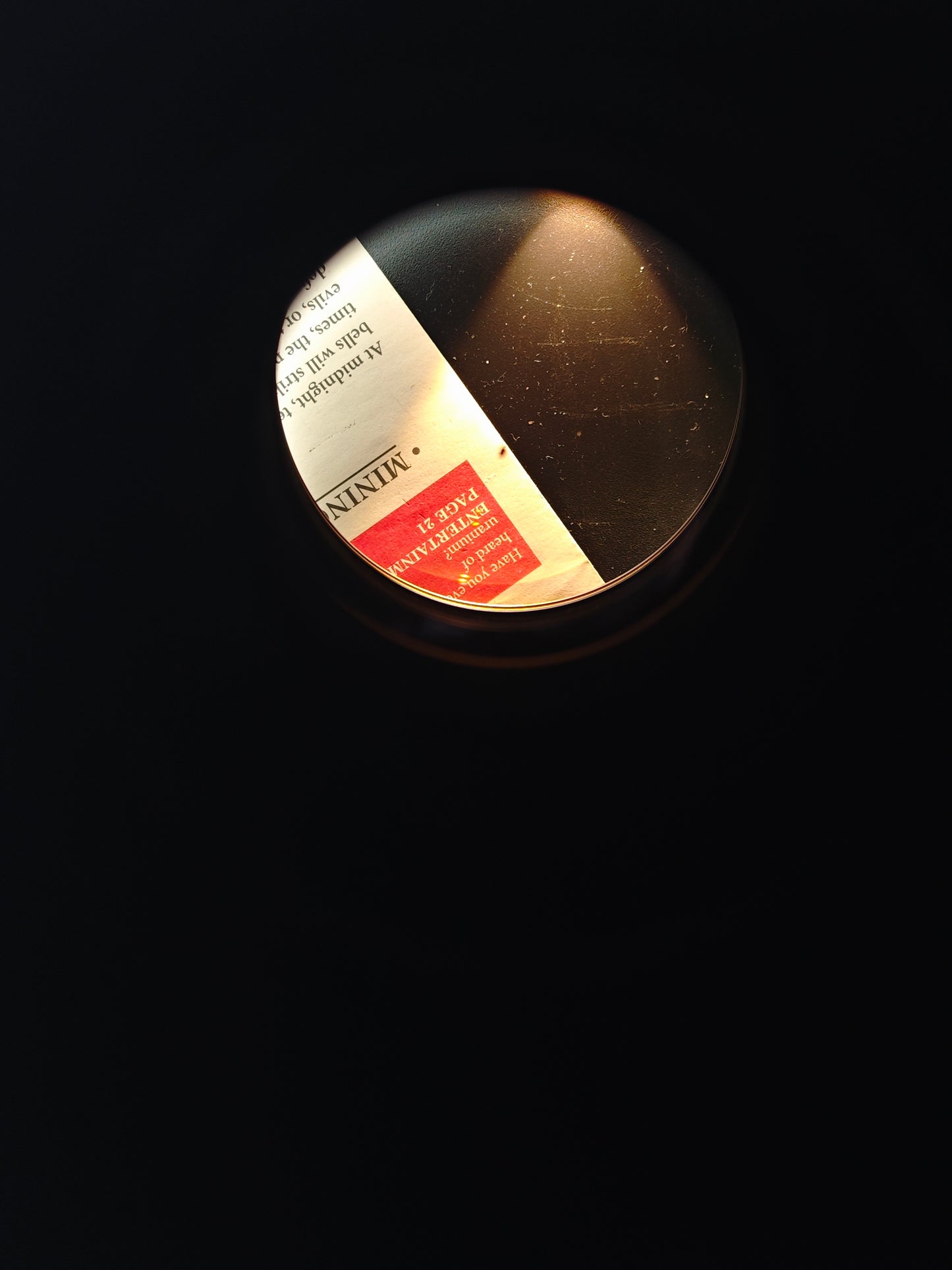Canon EF 600mm F4 L Ultrasonic [+Hood ET-161]