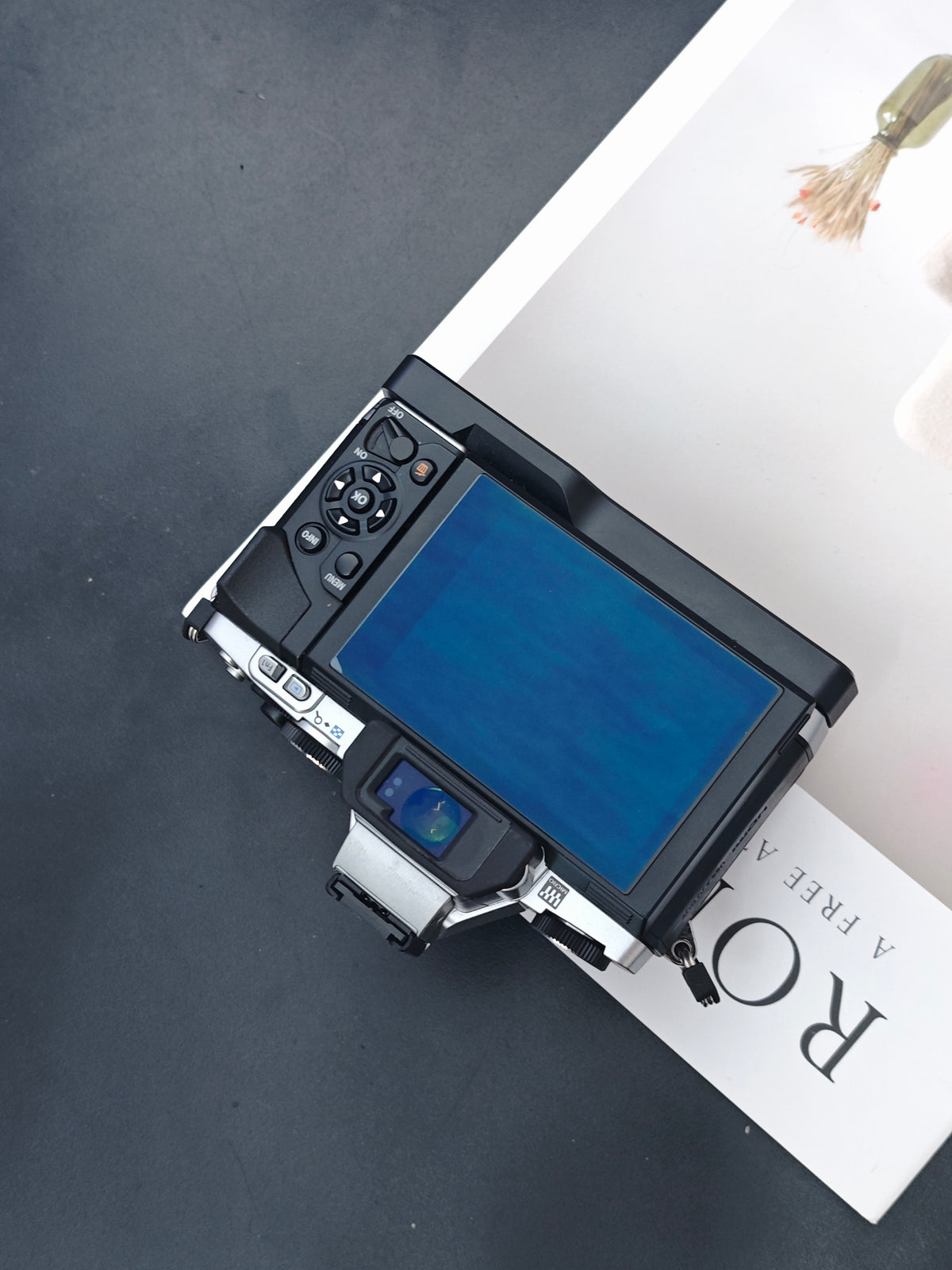 Used Olympus OM-D E-M5 with Lumix G 20mm F1.7 ASPH.