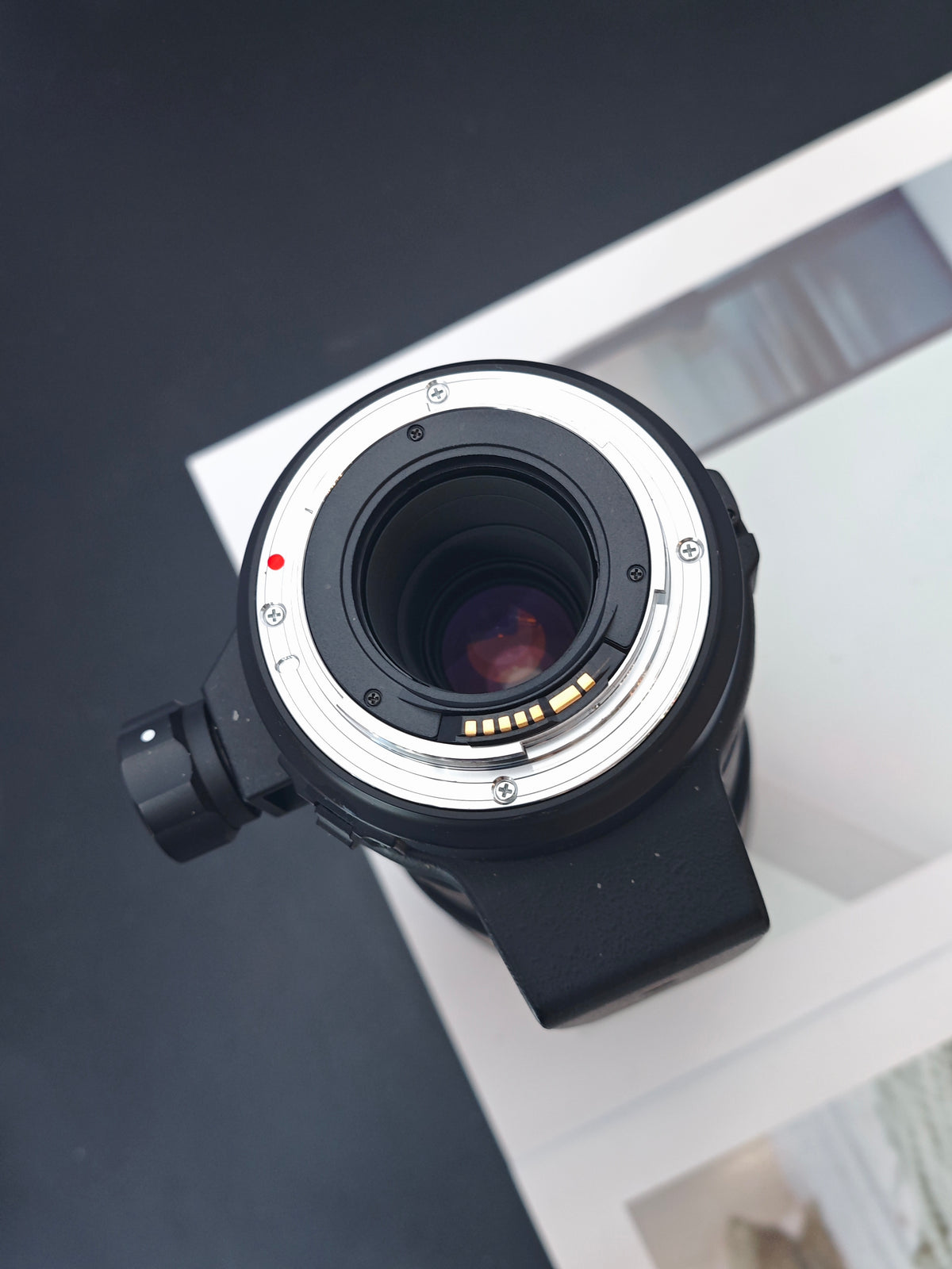 Sigma 300mm F4 Apo Tele Macro HSM [EF mount]