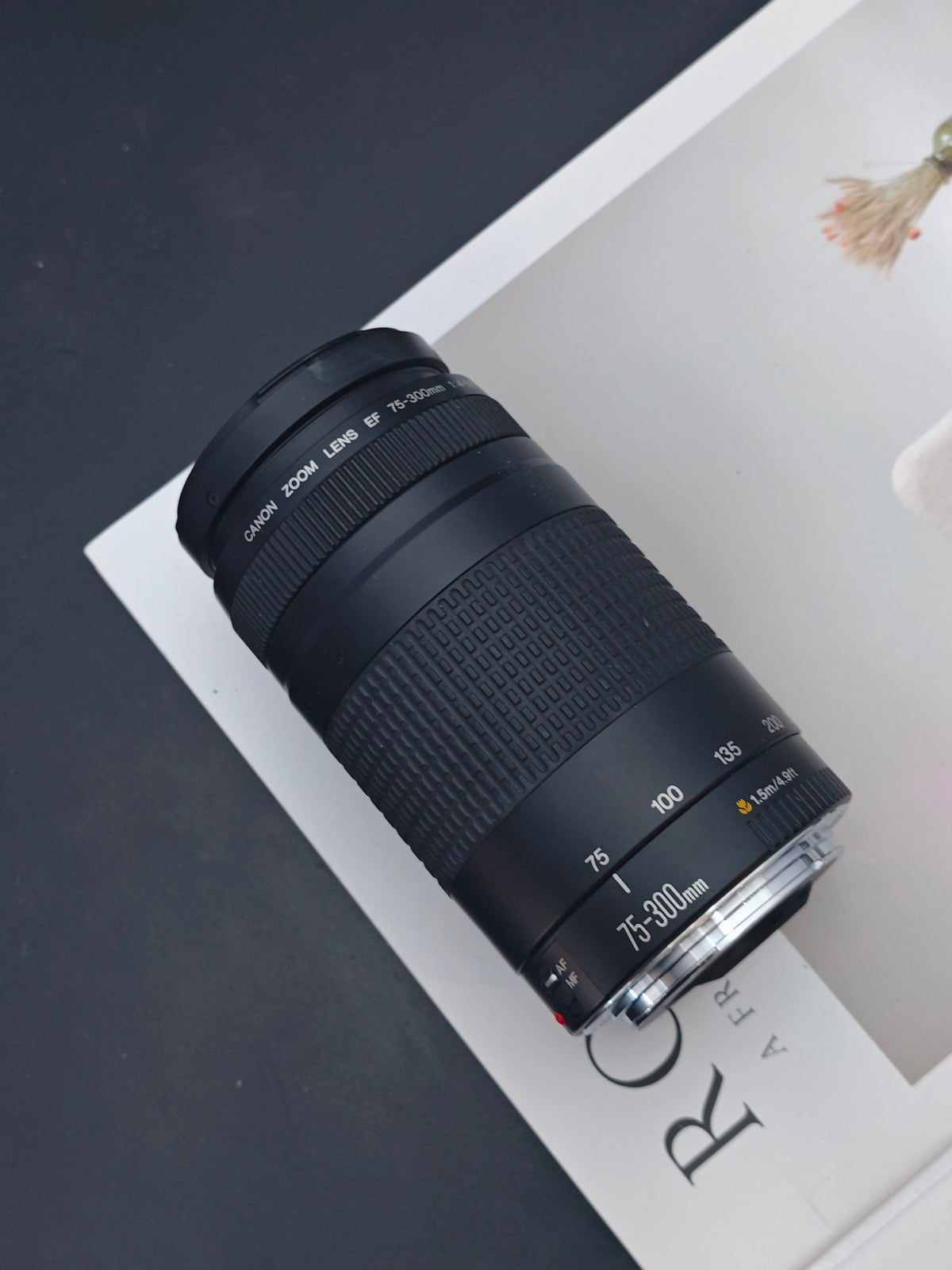 *READ* Canon Zoom Lens EF 75-300mm F4-5.6 II #4302877E