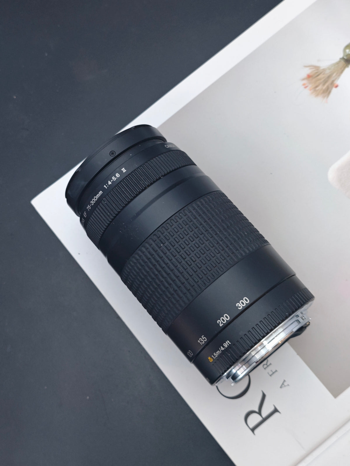 *READ* Canon Zoom Lens EF 75-300mm F4-5.6 II #4302877E