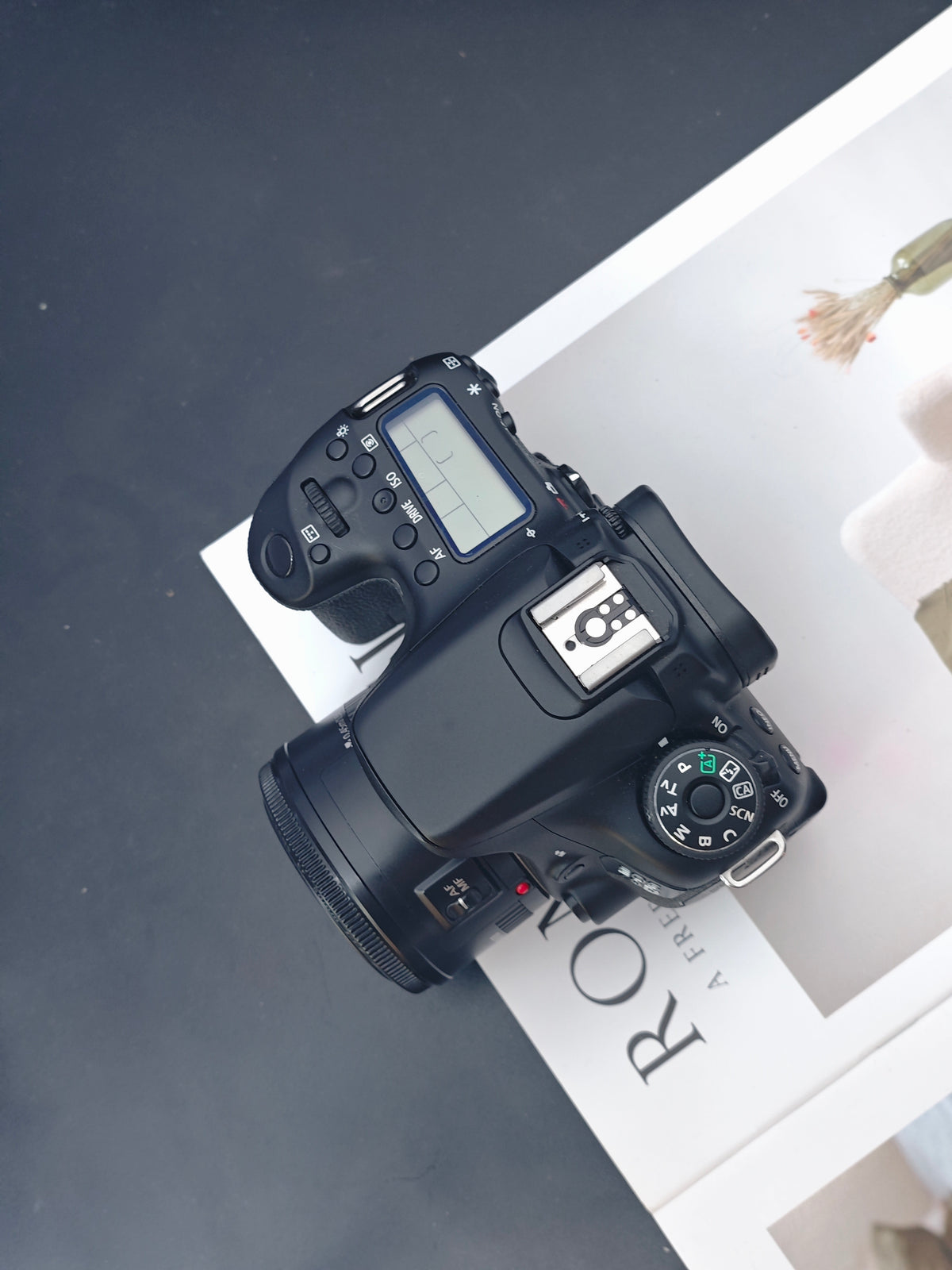 *READ* Canon EOS 70D with EF 50mm f1.8 II and Sigma DG 70-300mm F4-5.6 Optical Stabilizer [+Speedlite 380EX]