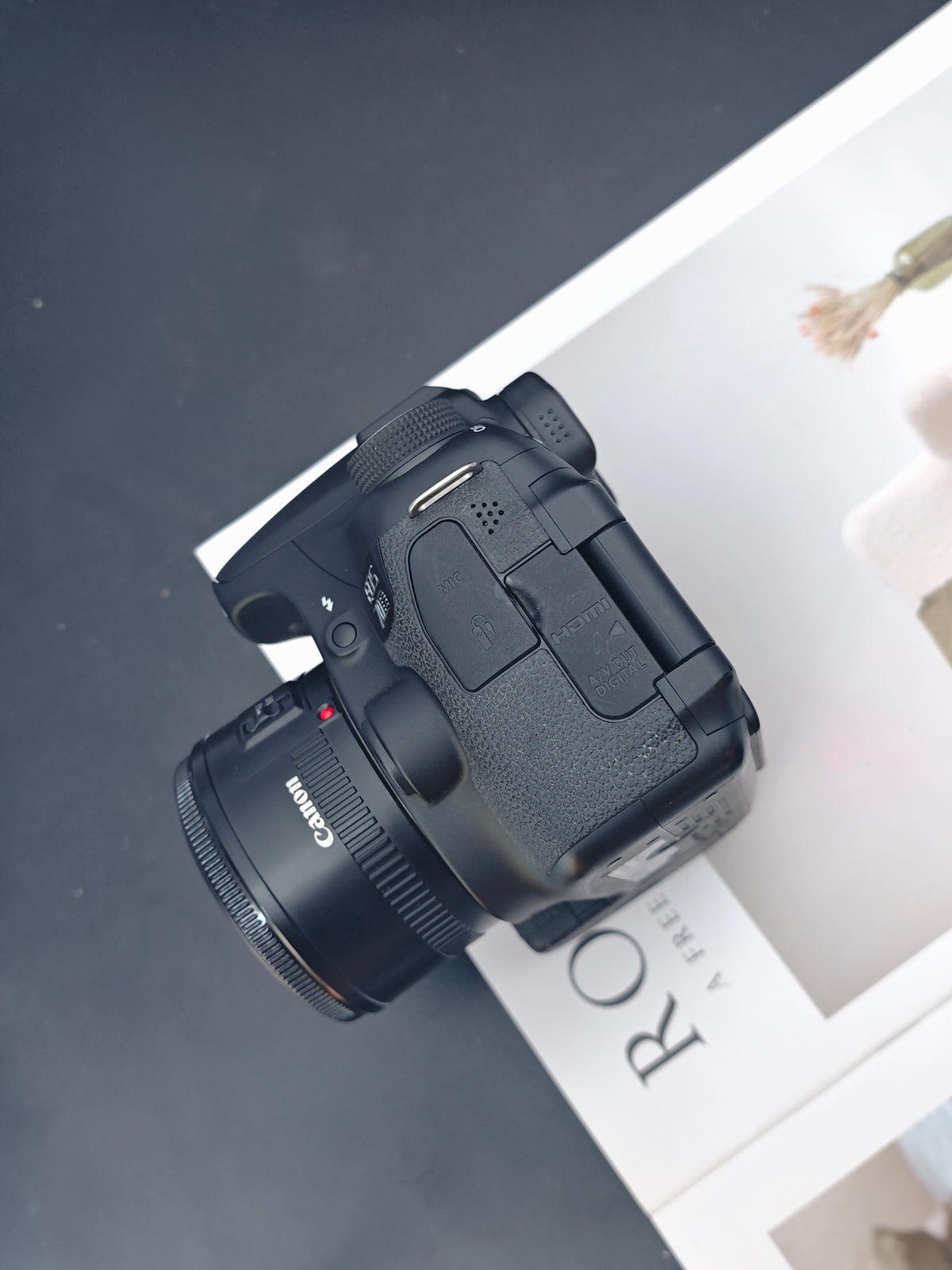 *READ* Canon EOS 70D with EF 50mm f1.8 II and Sigma DG 70-300mm F4-5.6 Optical Stabilizer [+Speedlite 380EX]