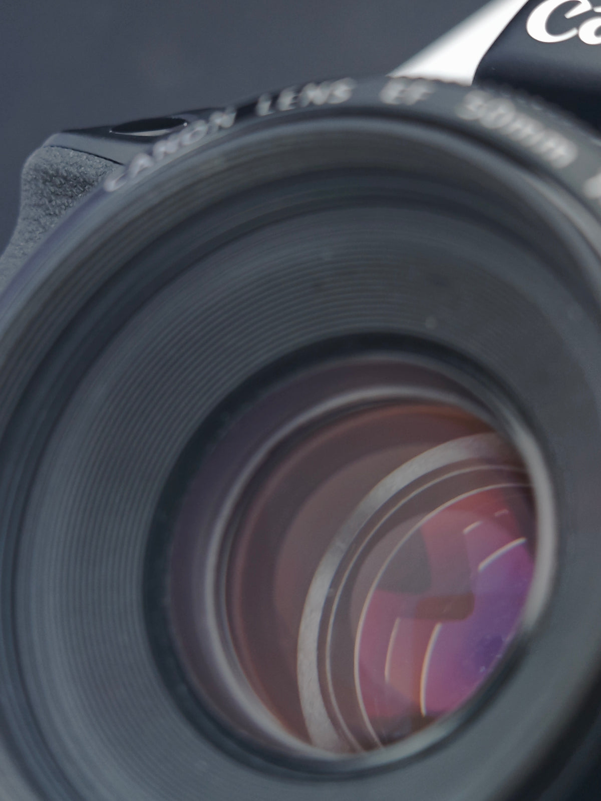 *READ* Canon EOS 70D with EF 50mm f1.8 II and Sigma DG 70-300mm F4-5.6 Optical Stabilizer [+Speedlite 380EX]