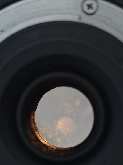 Nikon DX AF-S Nikkor 55-300mm F4.5-5.6 G ED VR #2354049