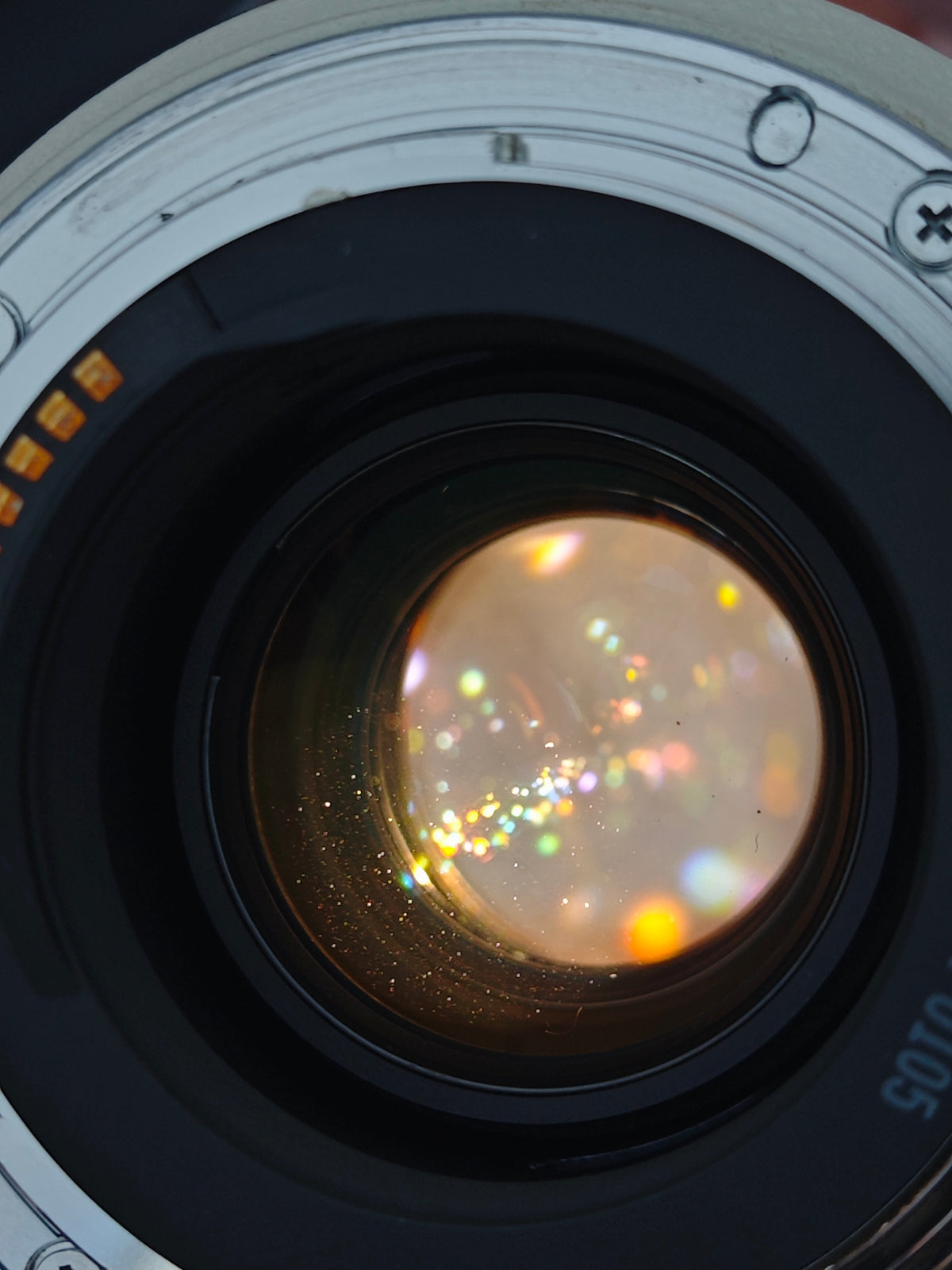 *READ* Canon EOS-1 with Canon Zoom Lens EF 35-350mm F3.5-5.6 L Ultrasonic