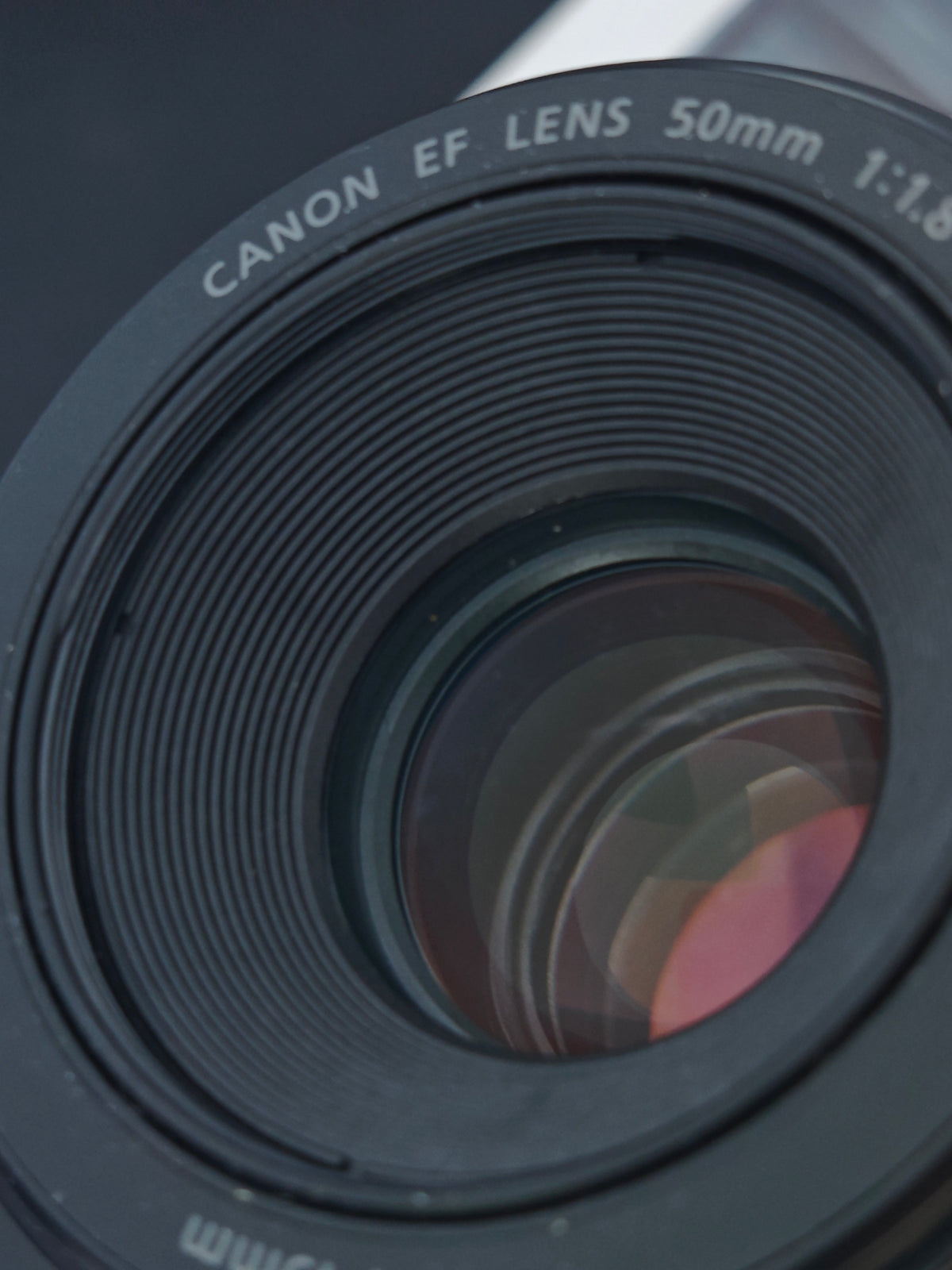 Canon EF 50mm F1.8 STM #5315346304