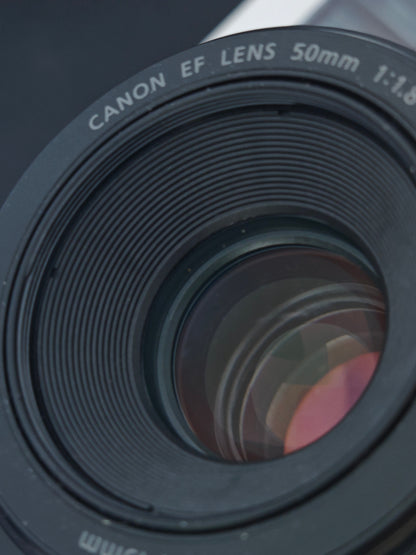 Canon EF 50mm F1.8 STM #5315346304
