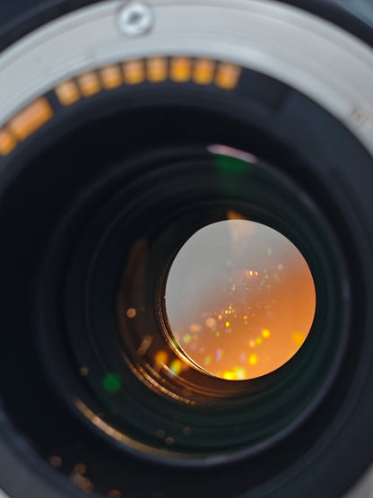 Canon Lens EF 70-200mm F4 L IS USM #326359