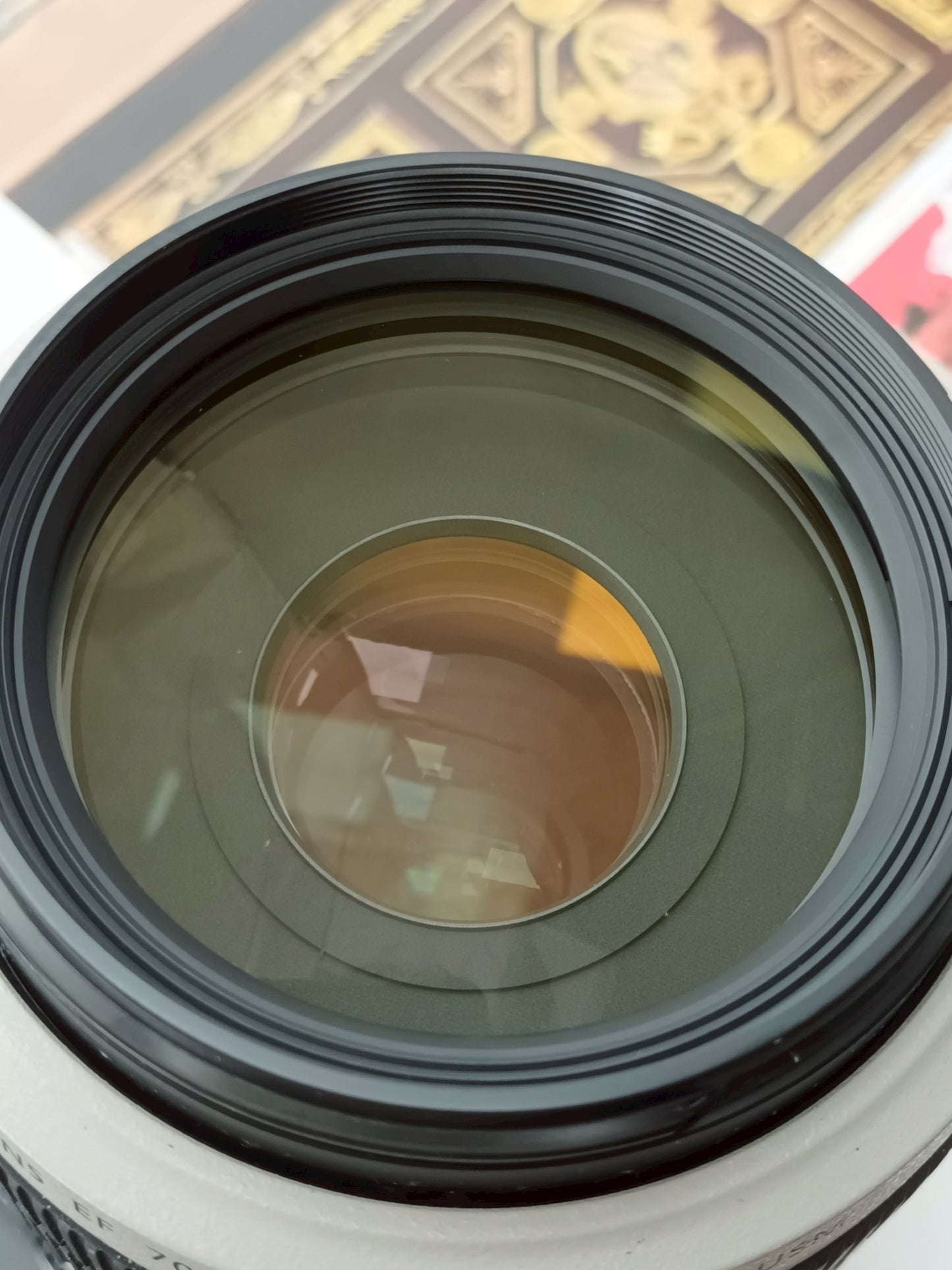 Canon Lens EF 70-300mm F4-5.6 L IS USM