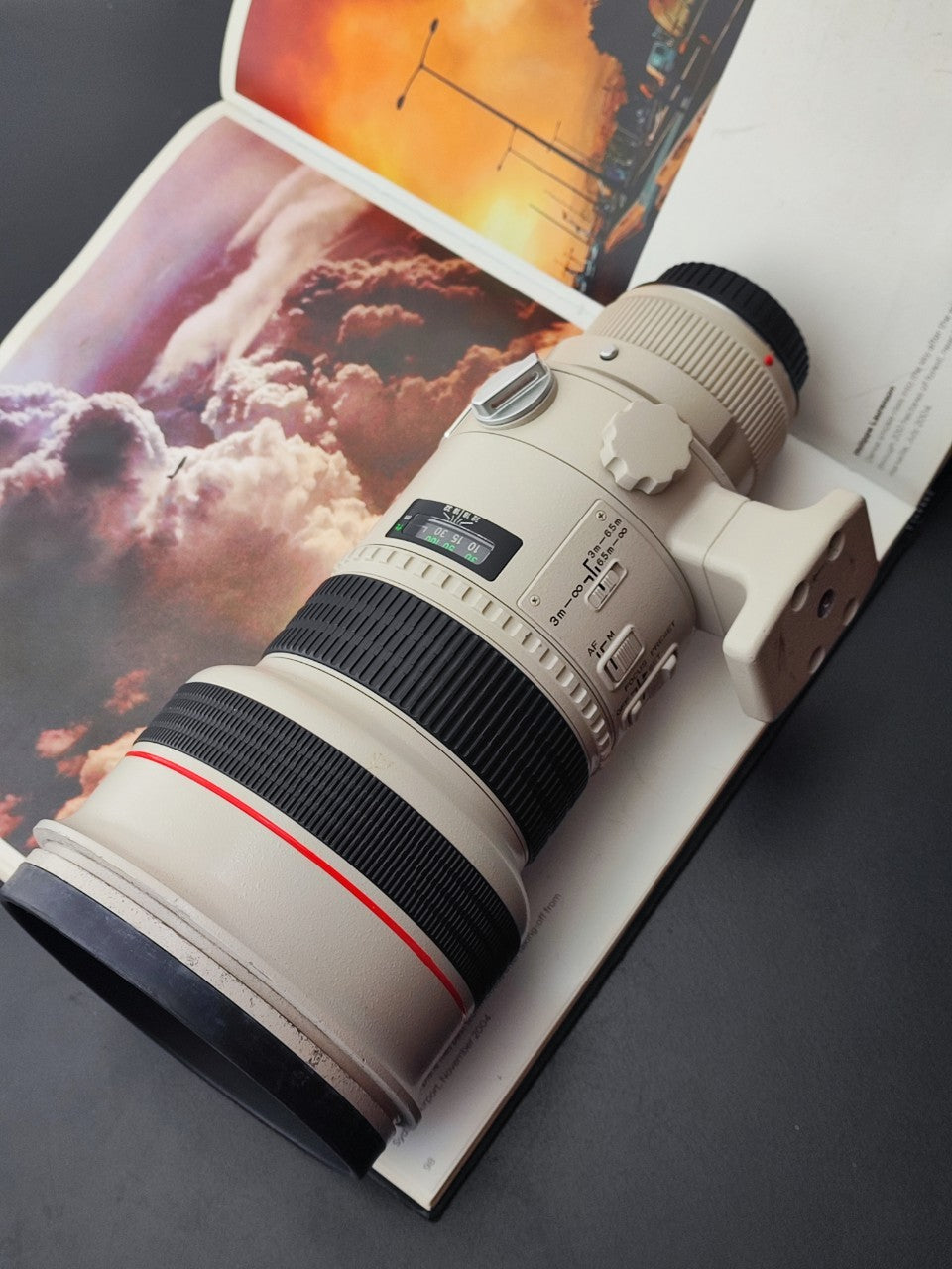 Canon Lens EF 300mm F2.8 L ULTRASONIC