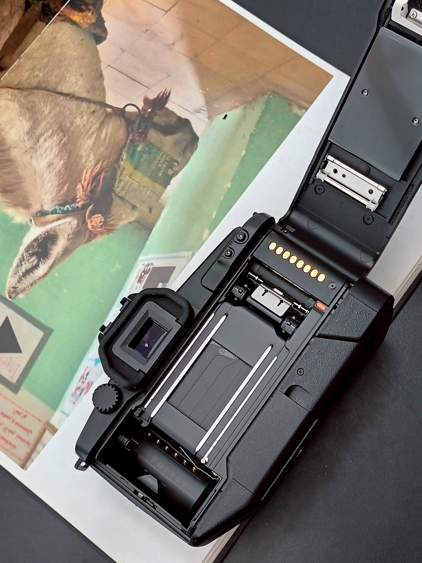 Canon EOS RT body