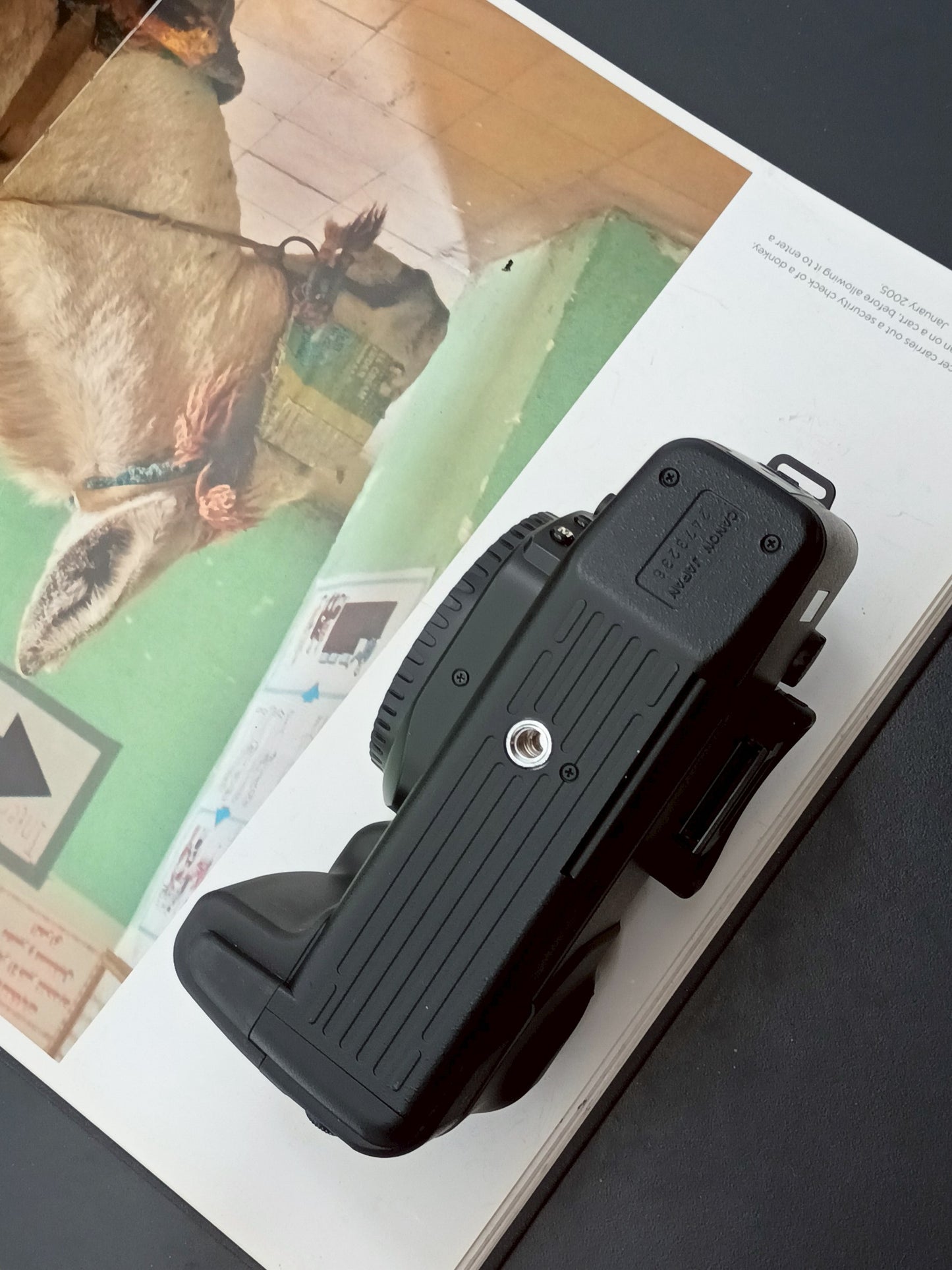 Canon EOS RT body